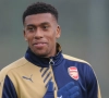 Officiel : Alex Iwobi rejoint Everton