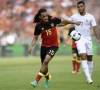 Denayer pour remplacer Vermaelen? Wilmots répond