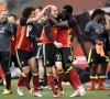 La Belgique s'impose 3-2 contre la Norvège grâce à Laurent Ciman