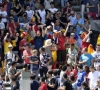 Décès d'un supporter belge en route vers Lyon