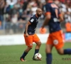 Ligue 1: Auto-goal pour Vanden Borre, victoire pour Gillet et but de Santini