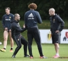 Roberto Martinez rend hommage à Marouane Fellaini