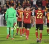 Nouveau match amical pour la Belgique au mois de juin !