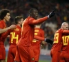 Lukaku égale Van Himst : "Il en inscrira 50, 60"