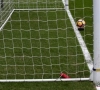 La Ligue 1 veut mettre un terme à la Goal Line Technology !