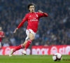 Joao Felix est une des révélations de la saison