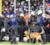 Incidents lors du derby limbourgeois : Genk n'ira pas en appel