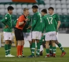 Un arbitre danois pour le dernier match des Diables 