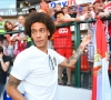 Axel Witsel prêt à investir dans ... un château en région liégeoise