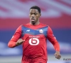 La machine Jonathan David est lancée : l'ancien Gantois est d'une efficacité incroyable avec le LOSC