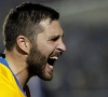 🎥 Le splendide coup-franc de Gignac 