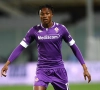 Anderlecht ferait le forcing pour un joueur de la Fiorentina 