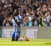 Moises Caicedo, de la misère du Beerschot aux étoiles de la Premier League