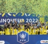 Le FC Nantes racheté dans les prochaines semaines?