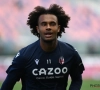 Joshua Zirkzee a enfin éclos : au moins un club du top s'est renseigné