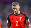 "Il faut tout faire pour que Toby Alderweireld revienne chez les Diables Rouges" 