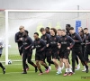 Bonne nouvelle : un Diable Rouge de retour dans le groupe de son équipe pour un déplacement périlleux en Europa League