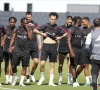 Un Diable Rouge vers le Real Mallorca ? 