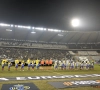 La raison étrange pour laquelle un nouveau terrain ne peut pas être installé au stade Roi Baudouin...