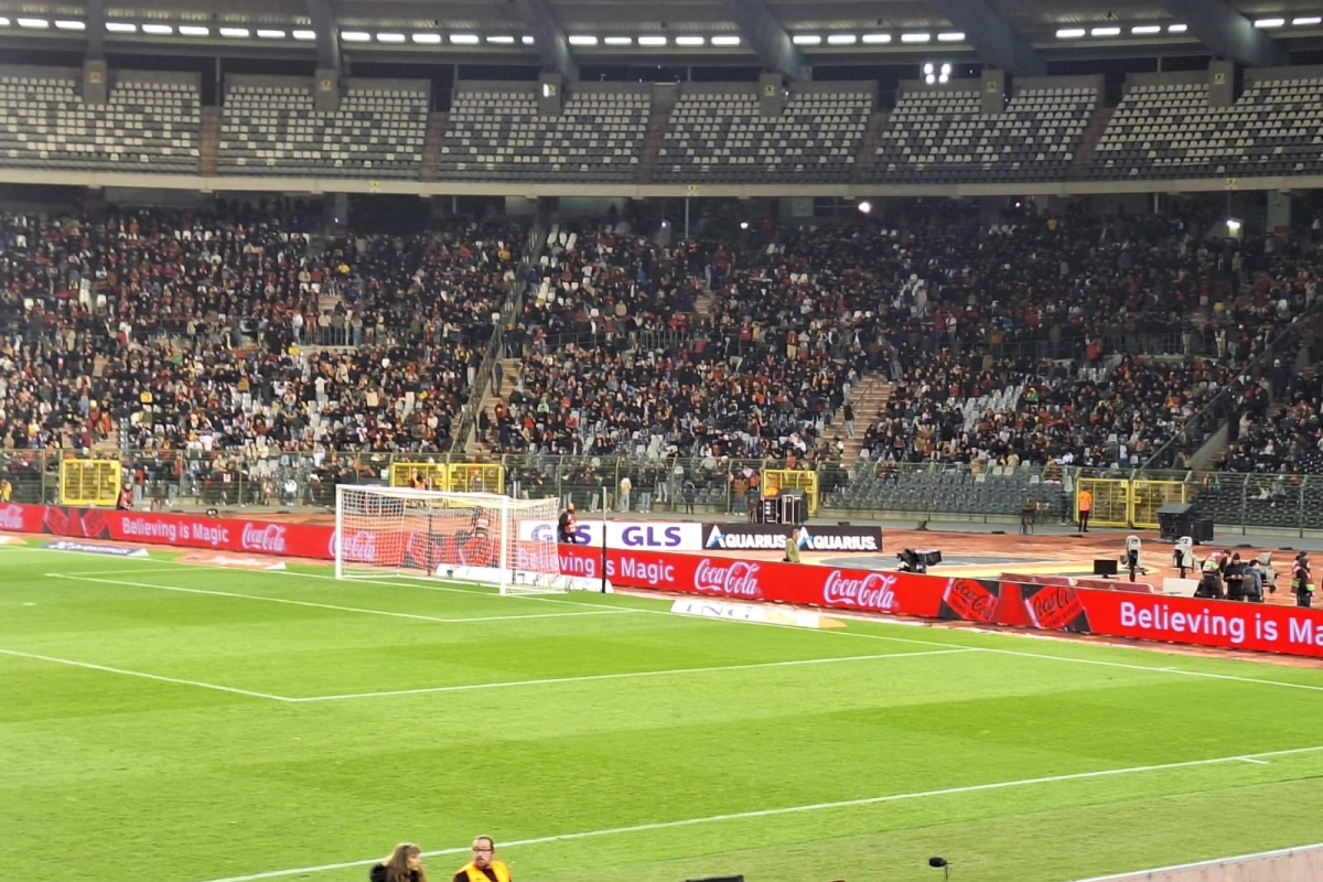 🎥 "Tous ensemble, tous ensemble" : les supporters belges et suédois à l'unisson