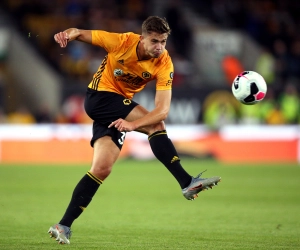 D'Anderlecht à Wolverhampton, le choix gagnant de Leander Dendoncker 