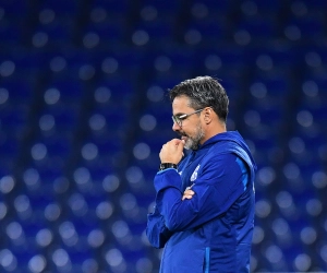 Ce sera bientôt Schalke C4 pour David Wagner