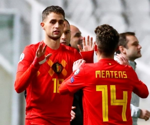 Adnan Januzaj vers la Serie A ?