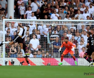 Premier League : Leicester et Tielemans battus, Mitrovic délivre encore Fulham