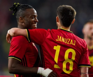 Adnan Januzaj et Michy Batshuayi vont se disputer un trophée 