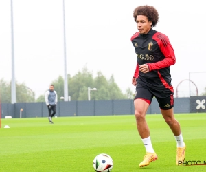 witsel 