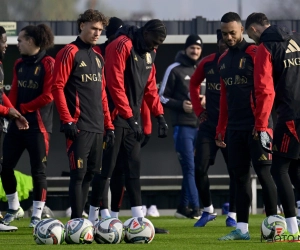 Les Diables étaient...24 à l'entraînement : un invité surprise de la partie