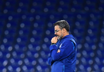 Ce sera bientôt Schalke C4 pour David Wagner