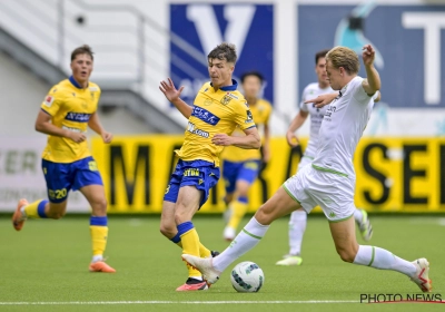 Les Canaris ne chantent plus