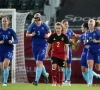 Les Pays-Bas ont un nouveau coach