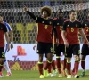 Les moments marquants de la carrière de Fellaini chez les Diables Rouges