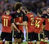 Fin de carrière internationale ? Fellaini nie : "J'ai dit que je verrai!"