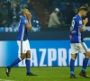 Bundesliga : Schalke et Cologne se neutralisent