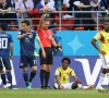 Le vétéran colombien Carlos Sanchez rejoint Watford