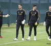 Matz Sels et les Diables : "Thibaut Courtois est au-dessus du lot"