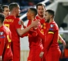 Les voyants sont toujours au vert pour les Diables 