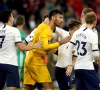 Tottenham privé d'une de ses nouvelles recrues jusque fin octobre