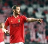 Les ambitions européennes de Jan Vertonghen et Benfica: "Nous pouvons aller loin" 