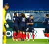 L'équipe de France Espoirs s'est qualifiée pour l'Euro et certains joueurs sortent du lot