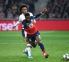 Lille et Chelsea ont un passif... Tuchel et Gourvennec aussi