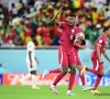 Pays-Bas-Qatar: l'avant match