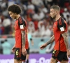 "Une défense Witsel - Alderweireld ?  Ca pourrait le faire"