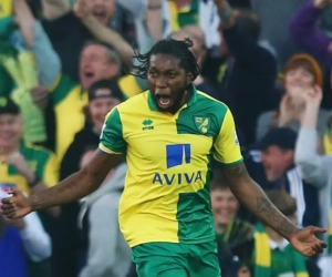 Dieumerci Mbokani renverse Watford (Vidéo)