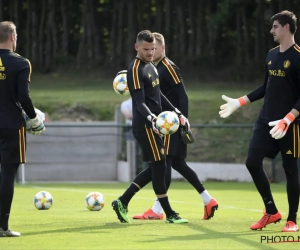 Hendrik Van Crombrugge repris dans le groupe des Diables Rouges