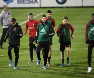 Deux absences remarquées à l'entraînement des Diables 