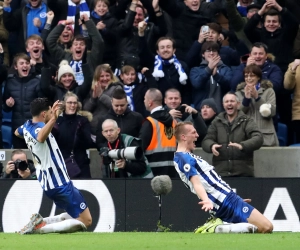 Deux mois de prison et interdiction de stade à vie pour un supporter de Brighton